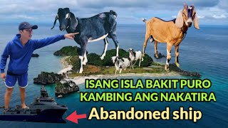 MAYAMANG ISLA PURO KAMBING ANG NAKATIRA l BAKIT WALANG TAO DITO