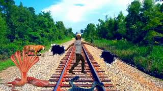 Cave man and  eliphan fighting and tiger attacks not train track then escaped funny VFX  video