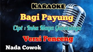 BAGI PAYUNG | KARAOKE  LAGU KARO | VERSI PENCENG | NADA COWOK