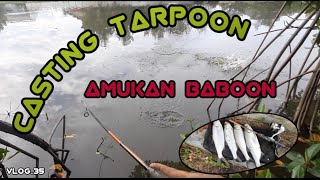 CASTING TARPOON ( Amukan Baboon ) vlog.35