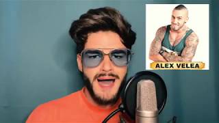 IMIT VOCI (Justin Bieber/Connect-R/Alex Velea/The Motans)