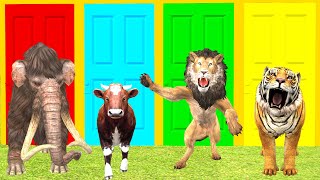 Choosing Right Door Game With Mammoth Elephant Cow Lion Tiger Wild Animal Funny Games