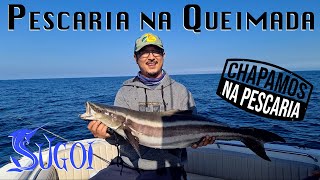 Pescaria na Queimada Grande. Chapado de peixe!