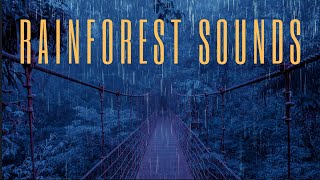 Rainforest Rain Nature Sounds, Birds Singing Sounds for Relaxation, Destress, Sleep