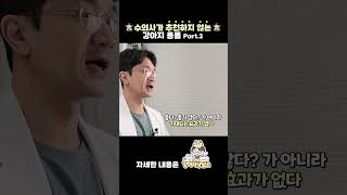 수의사가 추천하지 않는 강아지 용품 Part 2.