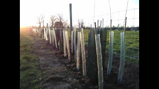 Regenerate Outcomes: An Introduction to Agroforestry