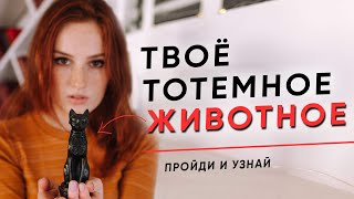 Твое тотемное животное! Ведическая астрология. Накшатры