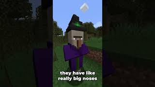 The Minecraft Witch #shorts