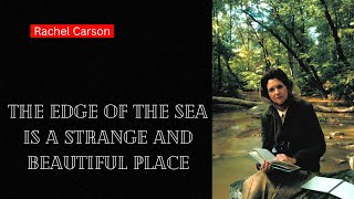 Most Popular Quotes Of Rachel Carson