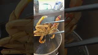 Shrimp Daddy’s Waldport Oregon!#dungenesscrab #crabcooking #crab #subscribetomychannel