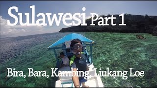 Selfie With A Turtle! - Sulawesi part 1: Tanjung Bira, Bara, Pulau Kambing, Liukang Loe