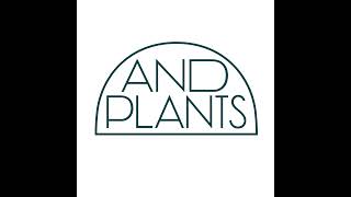 AND PLANTS のライブ配信