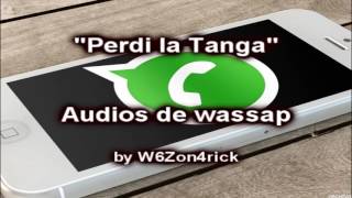 Perdi La Tanga - Audios de Wassap