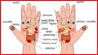 Ciascun dito è connesso a 2 organi: l’antico metodo giapponese per curare il corpo- Italy365