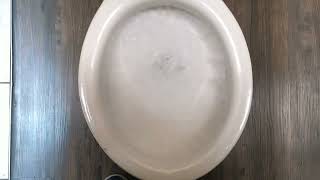 1947-1953 Canadian Potteries Ltd Selvyn (round bowl) toilet (ULTRA JACKPOT)