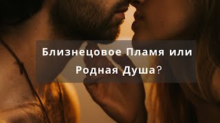 Близнецовое Пламя или Родная Душа? Путь души в отношениях