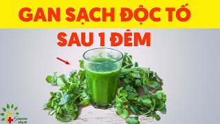 4 thảo dược loại bỏ độc tố 30 năm trong gan thận - SKST