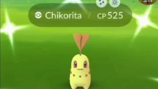 SHINY CHIKORITA CATCHING