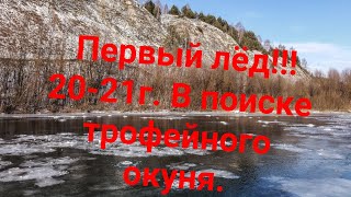 Первый лёд!!! Ноябрь 2020-2021г. В поиске трофейного окуня на безмотылку!!!