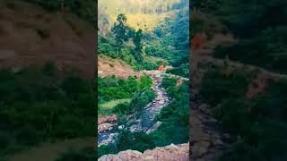 Libaas | #kaka | Nainital Uttarakhand #shorts #nature #nainital #travel #vlog #hills #forest #Libaas