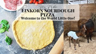 Einkorn Sourdough Pizza Recipe | Sourdough Pizza | From Scratch Pizza Crust | Einkorn Flour Recipe