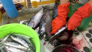 Tuna Fish Cutting by Vendor inside the Asian Fish Market | FLV Official