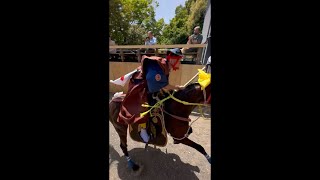 Amazing Japanese Horse Jumping Festival - Tado Matsuri | Kuwana City