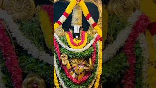 Nellai Tirupati Srinivasa Perumal - நெல்லை திருப்பதி ஸ்ரீநிவாஸப் பெருமாள் #nellai #tirupati