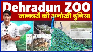 Dehradun ZOO,- देहरादून चिड़ियाघर में बच्चों की मस्ती | एक्वेरियम और स्नेक हाउस के दीवाने हैं लोग