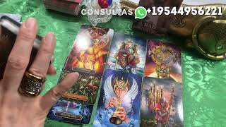 ME DEDIQUÉ A PERDERTE CON MI COMPORTAMIENTO! ESTUVE CIEGO 🤬ME ARREPIENTO #tarot #viralvideo #video