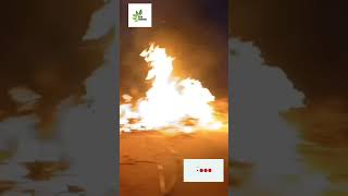 Day 24(info) ದನಗಳು ಕಿಚ್ಚು ಹಾಯಿಸುವುದು  cows on fire jumping#BCA Farmers