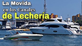 "La Movida en Los Canales de Lechería 🇻🇪 @YachtCharterVzla