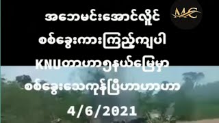 KNU တာဟာ(၅) နယ်မြေမှာ စစ်ခွေးအများအပြားသေဆုံး။