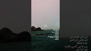 تو را با (من) نمی خواهم که (ما) معنا کنم دیگر ....