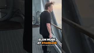 Elon Musk Looking Down On The Empire He Built😈