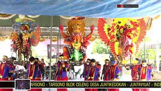 Lagu Tarling LINTANG RAINA MANUK DANGDUT PKSS KELUARGA TARSONO - TARWINIH BLOK CELENG JUNTIKEDOKAN