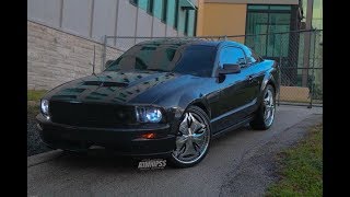 Ford Mustang On 22s DUB Wheels