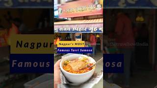 BEST Tarri Samosa Nagpur | MUST TRY | Nagpur Foodies #nagpuri #spicy #streetfood #saoji