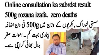 Dr Waheed Consultation. bakrio k wazan ma izafa mortality zero