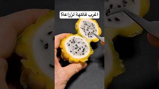 اغرب فاكهة لزراعة !#تراند #trending #القصص #فاكهة #فاكهة_التنين