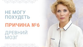 Причина №6 Почему я не могу похудеть?  Древний мозг