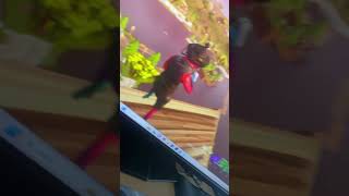 Og fortnite map cope in screen 👇#viral #100 #memes #fortnite