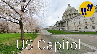 Walking Around US Capitol During Cherry Blossoms - Washington, D.C.