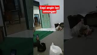 jangan dilihat sepining angin uah