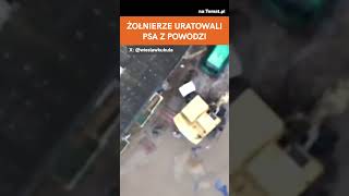 POWÓDZ W POLSCE. ŻOŁNIERZE URATOWALI PSA