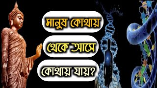 মানুষ কোথায় থেকে আসে আর কোথায় যায়?