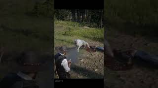 wolf attack #rdr2 #gaming