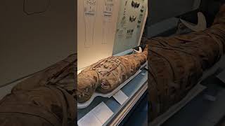 Mummy Revealing the #history #realmummy #britishmuseum #london