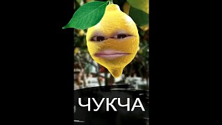 Чукча