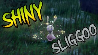 I Catch Shiny Sliggoo and Evolution into Shiny Goodra [Pokemon Scarlet]